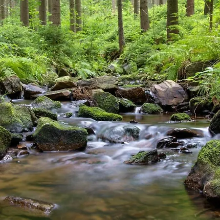 Erzgebirgsblick アパート *