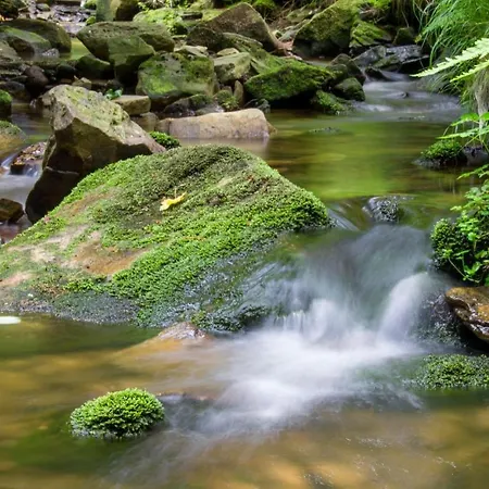 Erzgebirgsblick アパート