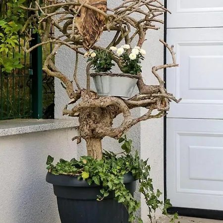 アパート Erzgebirgsblick *