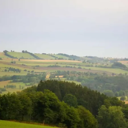 アパート Erzgebirgsblick