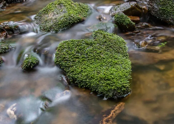 Апартаменты Erzgebirgsblick *