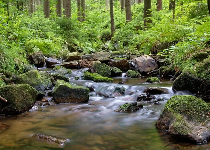 Erzgebirgsblick Апартаменты *