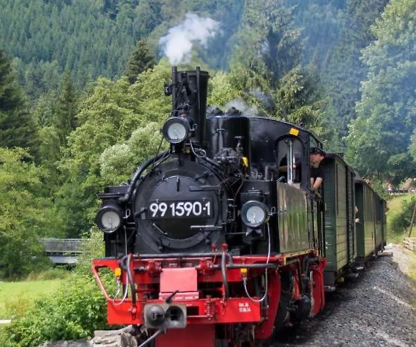 Апартаменты Erzgebirgsblick Thermalbad Wiesenbad