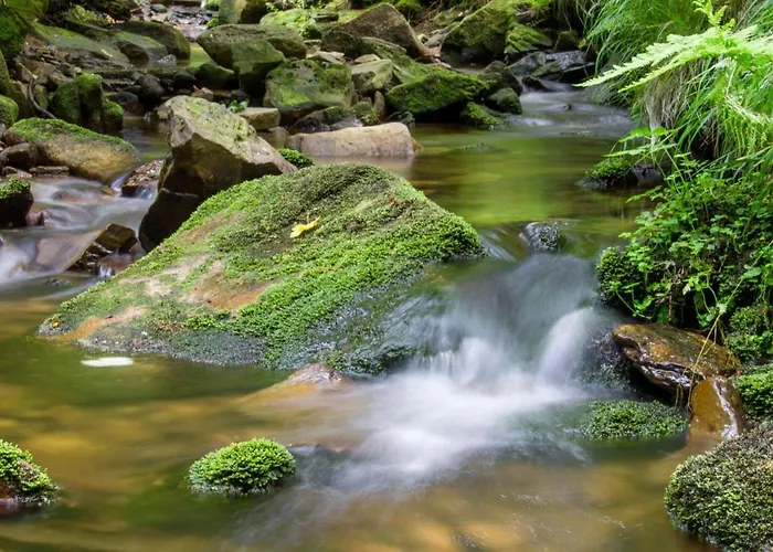 Erzgebirgsblick Апартаменты