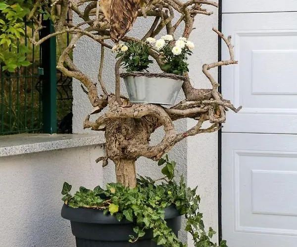 Апартаменты Erzgebirgsblick *