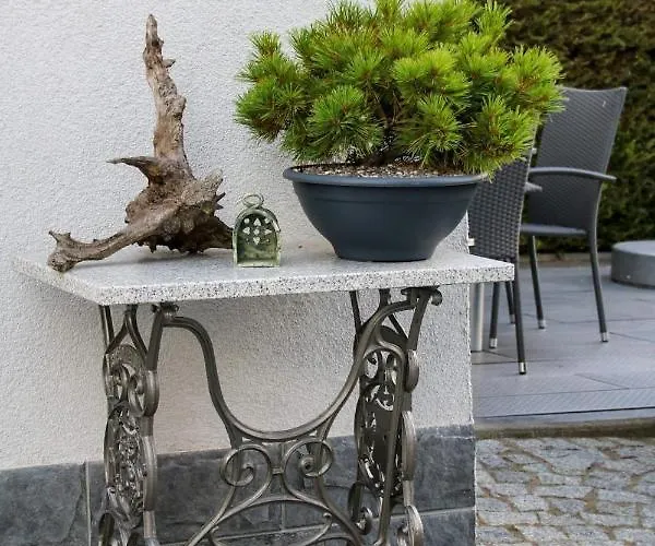 Апартаменты Erzgebirgsblick Thermalbad Wiesenbad