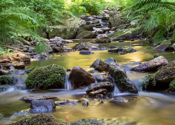 Апартаменты Erzgebirgsblick Thermalbad Wiesenbad