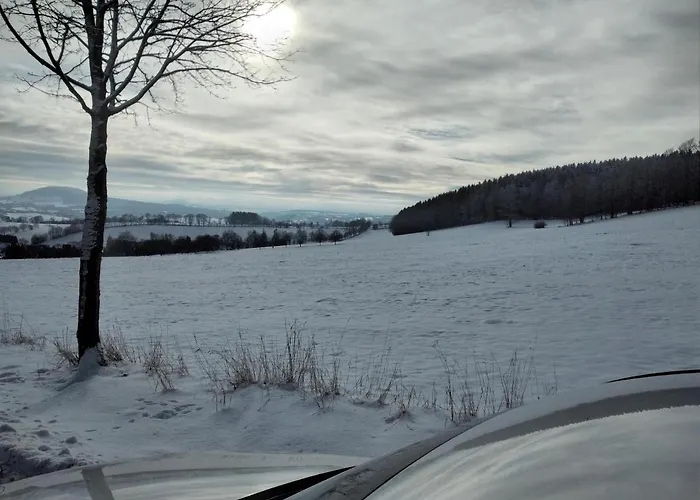 Erzgebirgsblick Апартаменты Thermalbad Wiesenbad